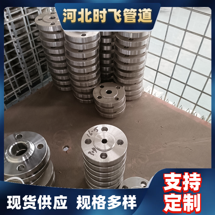 锻造小口径平焊小法兰配套盲板带颈平焊美标DN250 CL300 时飞管道