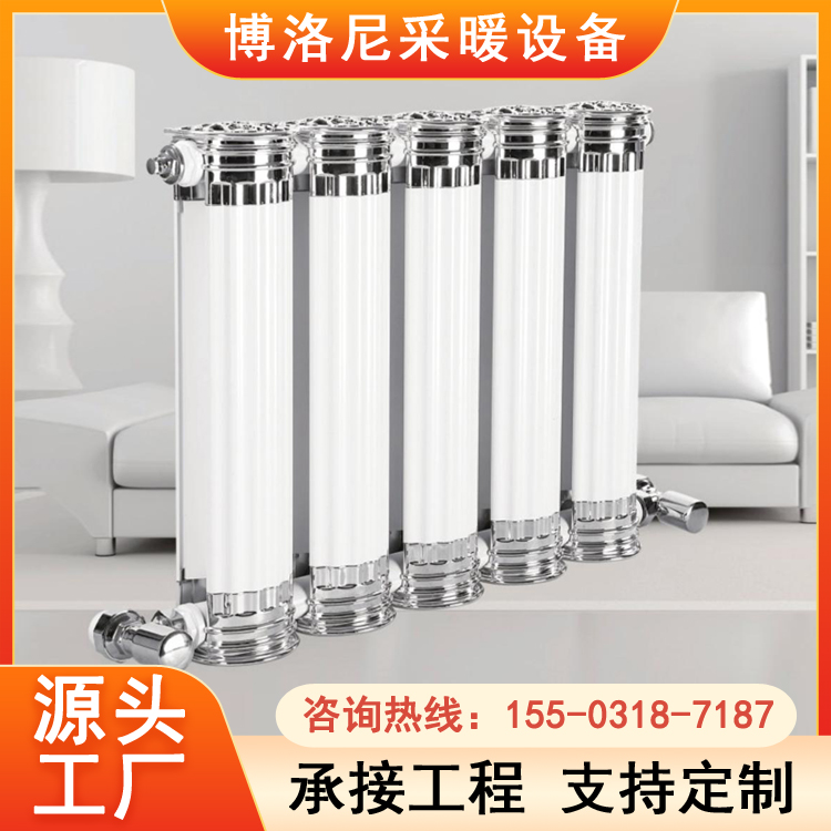 落地式铜铝复合散热器 工业用 高度650mm 600mm 博洛尼 颜色美观