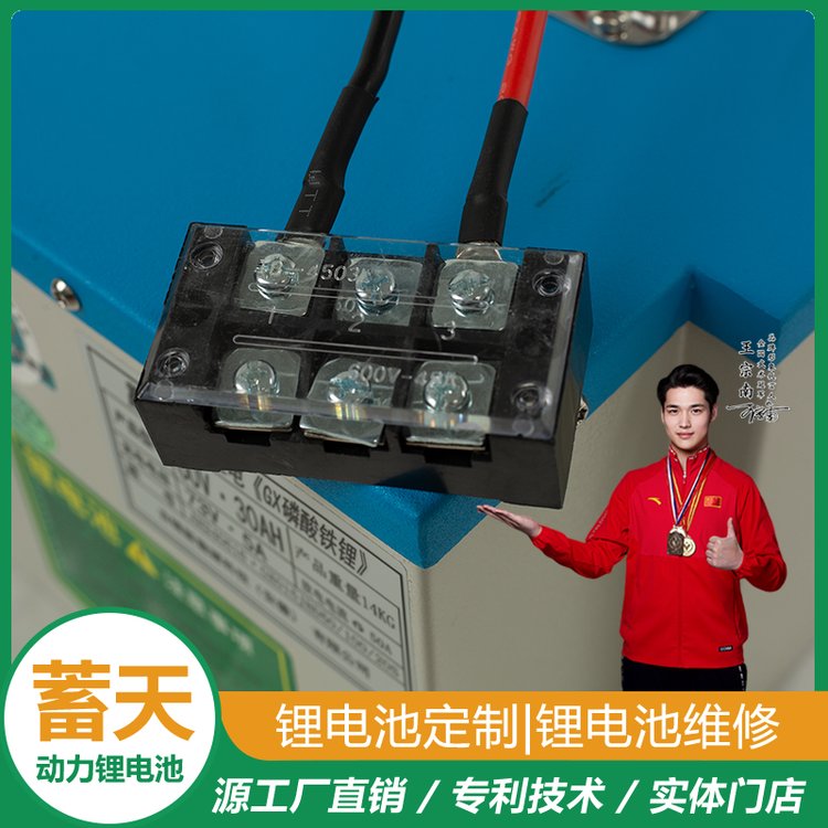 蓄天 三轮载货电动车 寿命长久 一站式服务 锂离子电池（锂电）