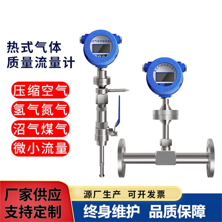 厂家供应热式气体质量流量计 电磁流量计管道式插入式 一体式气体仪