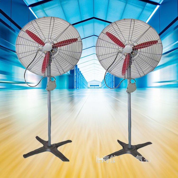 防爆风扇摇头扇FB-700落地式壁式可调速工业风扇 排风扇0.55KW