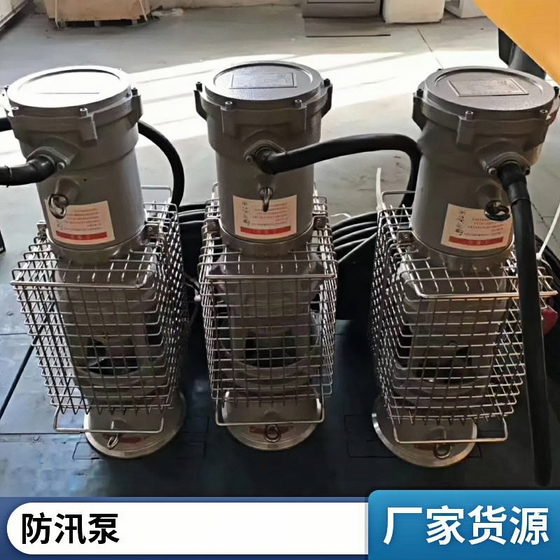 中津晟世达 供水系统 便携式潜水泵SSD100BXQ100-17-9.0KW