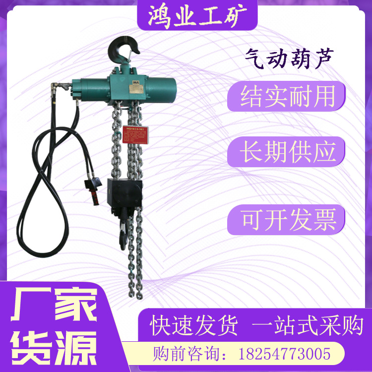 HQ10矿用防爆气动葫芦 气动起重机械手 齿轮气动马达 连接吊钩 鸿业