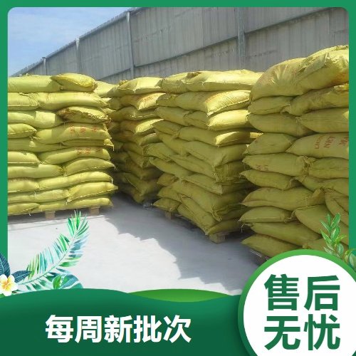 精选货源 100目 红薯淀粉 食品增稠 白色粉末 长期现货