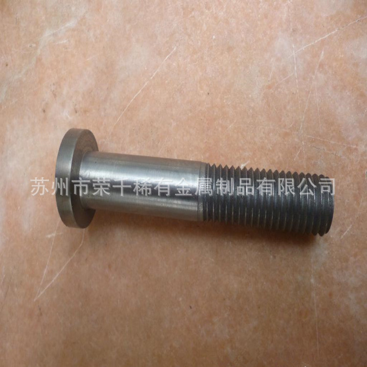 定制加工高温钼螺杆 M24*240mm 高纯钼杆 99.95%耐高温钼研磨棒