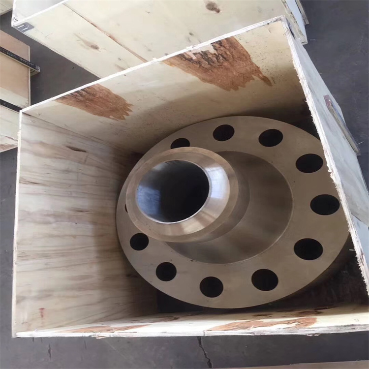 2205平焊2507双相钢法兰 HIC锻制 1500LB RTJ密封面