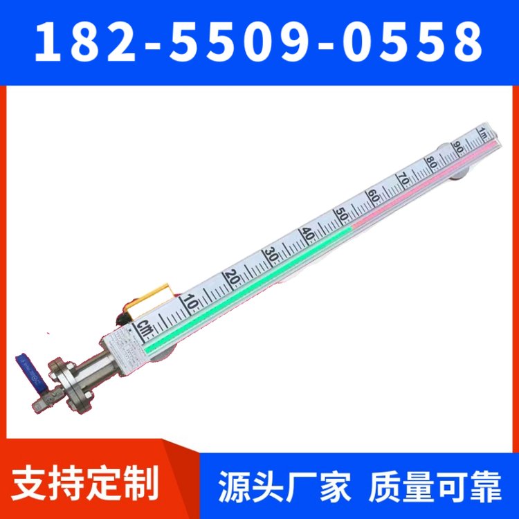 天康天仪顶装式磁翻板液位计测量排污罐侧装/顶装可选氨水
