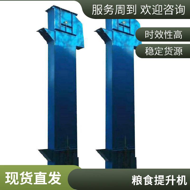 NE斗式提升机厂家供应 翻斗垂直提升设备制造