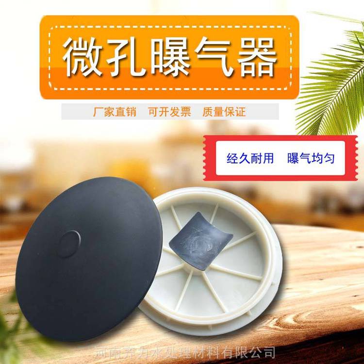 316 215盘式微孔曝气器橡胶膜片式水处理曝气头单孔膜平板曝气盘