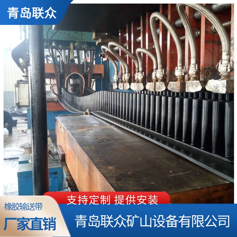 联众 大倾角挡边输送带 B650橡胶运输带 S60S80S100波状裙边