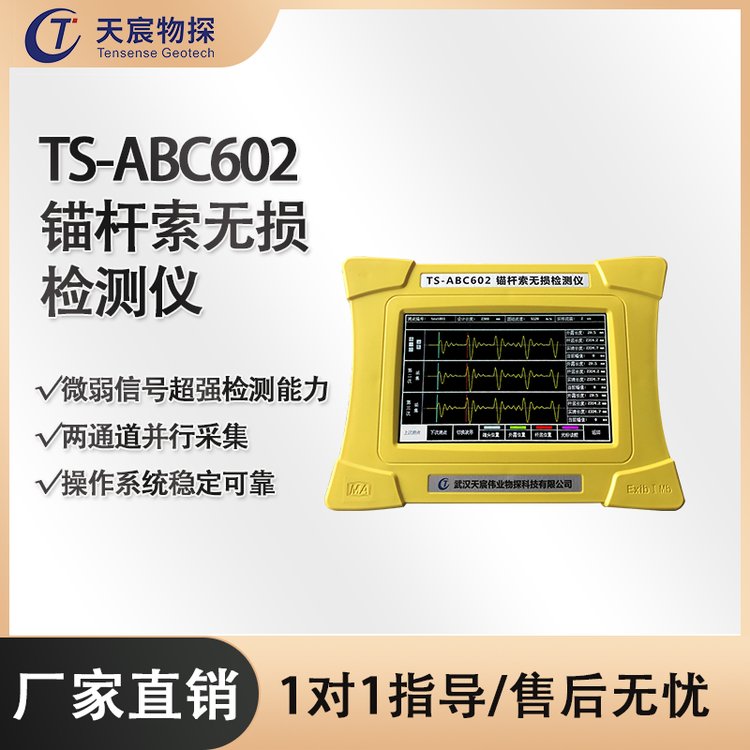 天宸物探 TS-ABC602 锚杆索无损检测仪 操作简单 两通道并行采集
