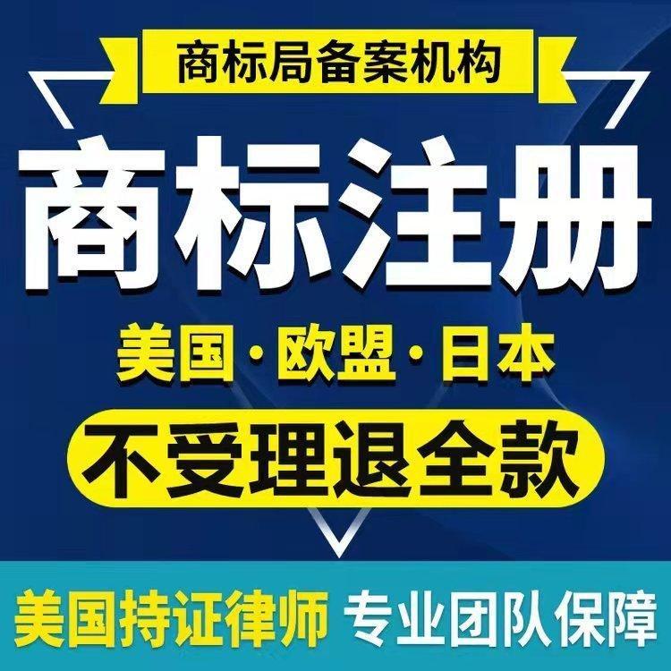 商标注册公司知识产权免费查询检索成功率高财丰商务