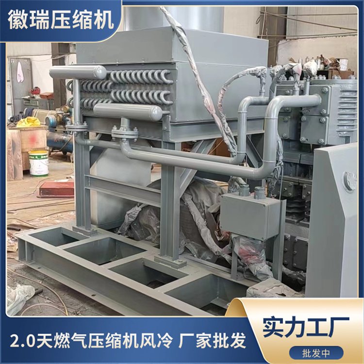 2.0天燃气压缩机风冷 无油往复活塞式空压机 加气母站 非标定制