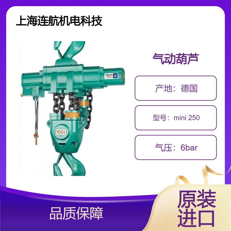 JDN气动葫芦mini 250 德国制造，变速先导控制系统设计