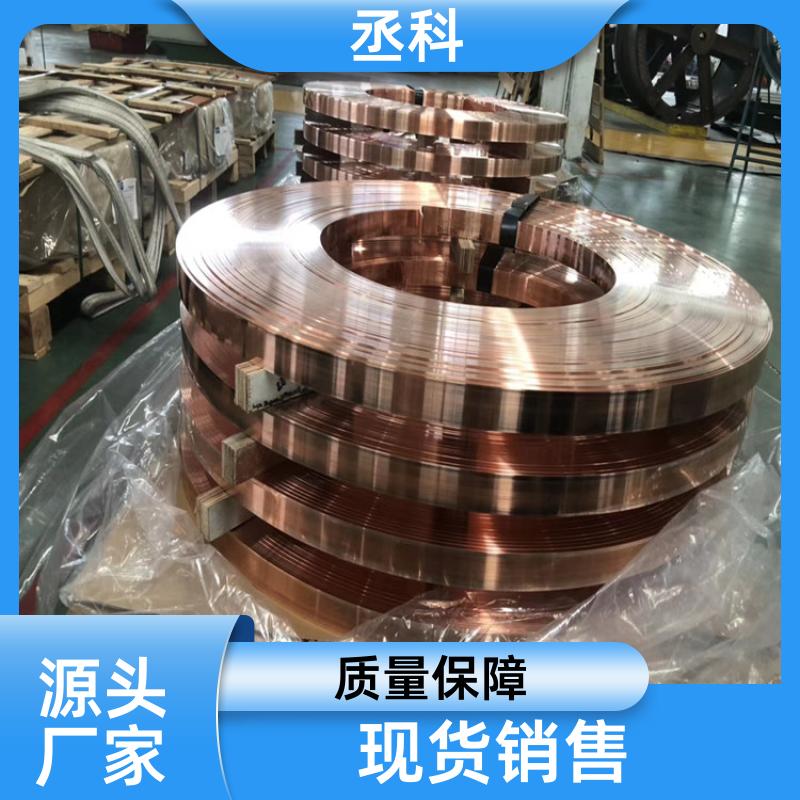 生产加工 弱电井工程 接地铜带 冲压件 0.5x200 可分条