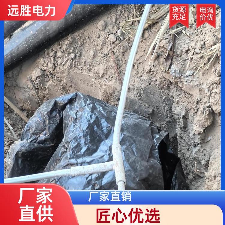 远胜股份 工厂医院场所 稀土铜铝合金 防雷器材 避雷塔 定制