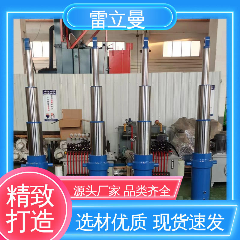 雷立曼 设备齐全 可定制加工 精度高 海洋船舶用 双作用多级油缸