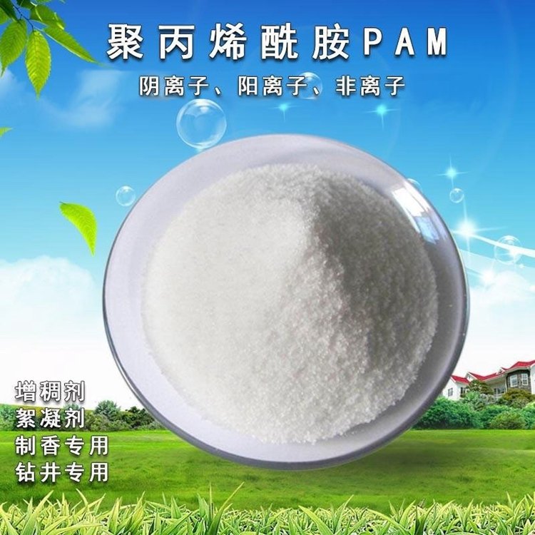 阳离子(PAM) 絮凝剂聚丙烯酰胺水处理药剂净水剂助凝剂