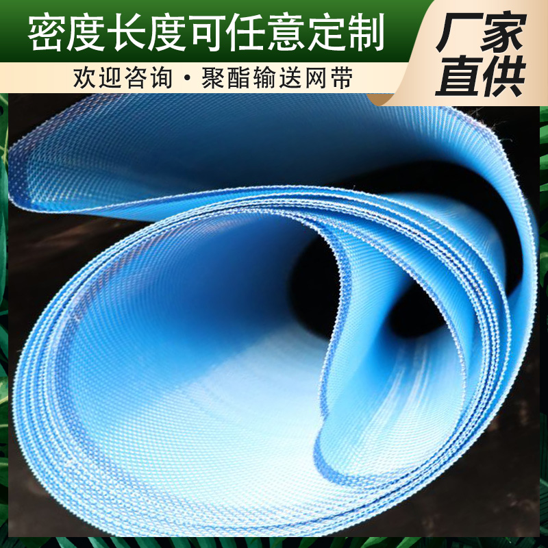羊粪输送带 厂家定制准时交货全国包邮送货上门丹娜鸶筛网