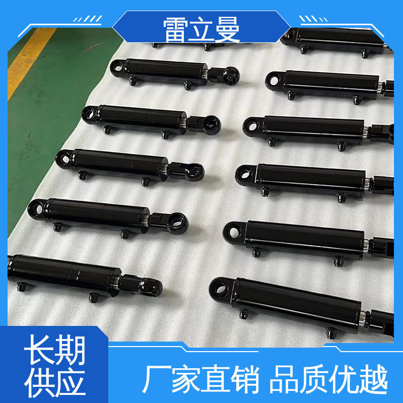 发货迅速 双作用多级油缸 高效率精度高 电力能源用 雷立曼