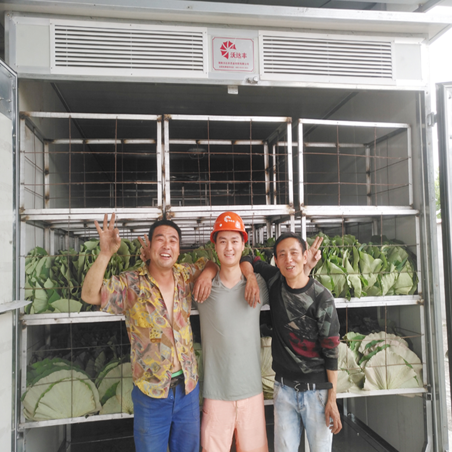 荷叶烘干机，荷叶丝烘干设备，粽叶干燥设备，中药材烤箱