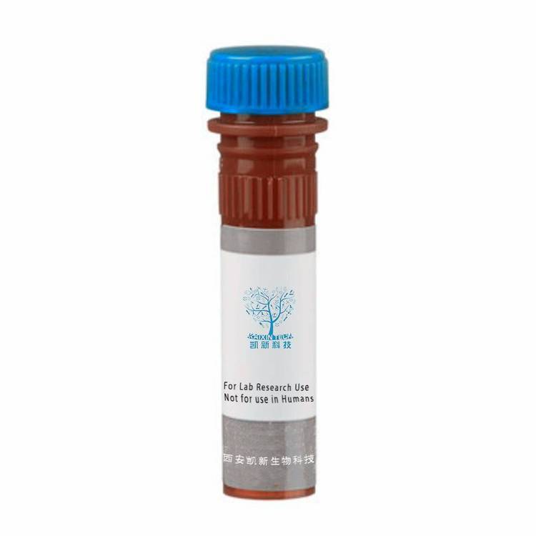 Cyanine5.5 COOH cas:1449612-07-0 Cy5.5羧酸