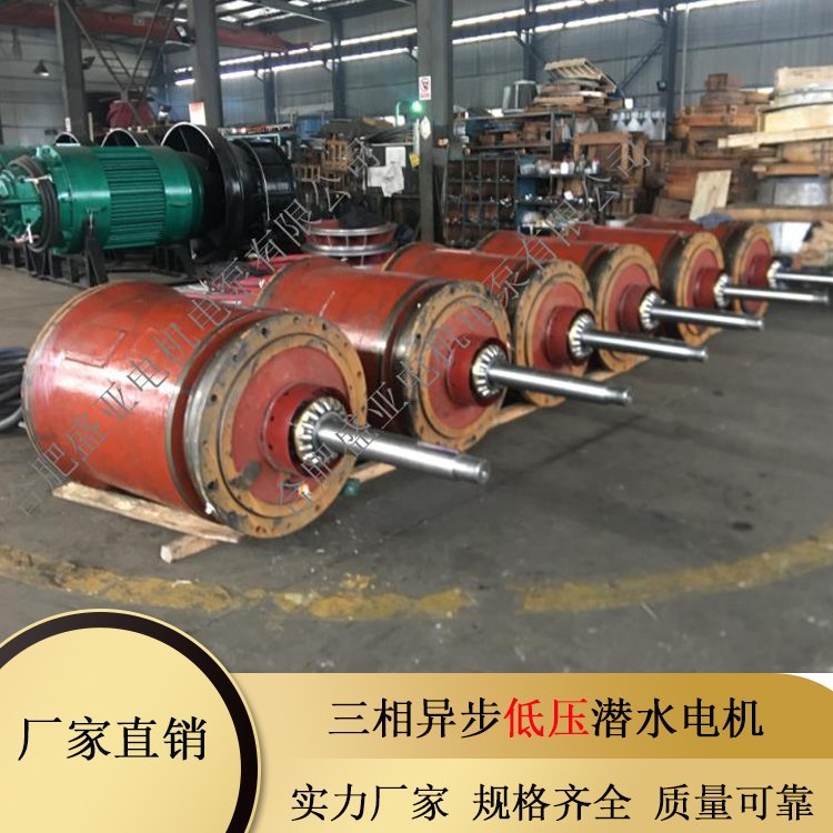 低压矿井潜水泵电机防爆 YQGN740系列 供货厂家 买水泵到盛亚