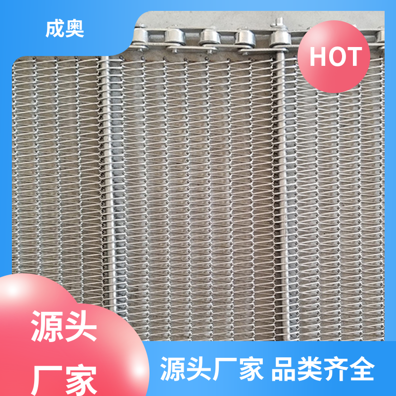 高温传动网链 馓子油炸输送网带 现货速发 成奥机械