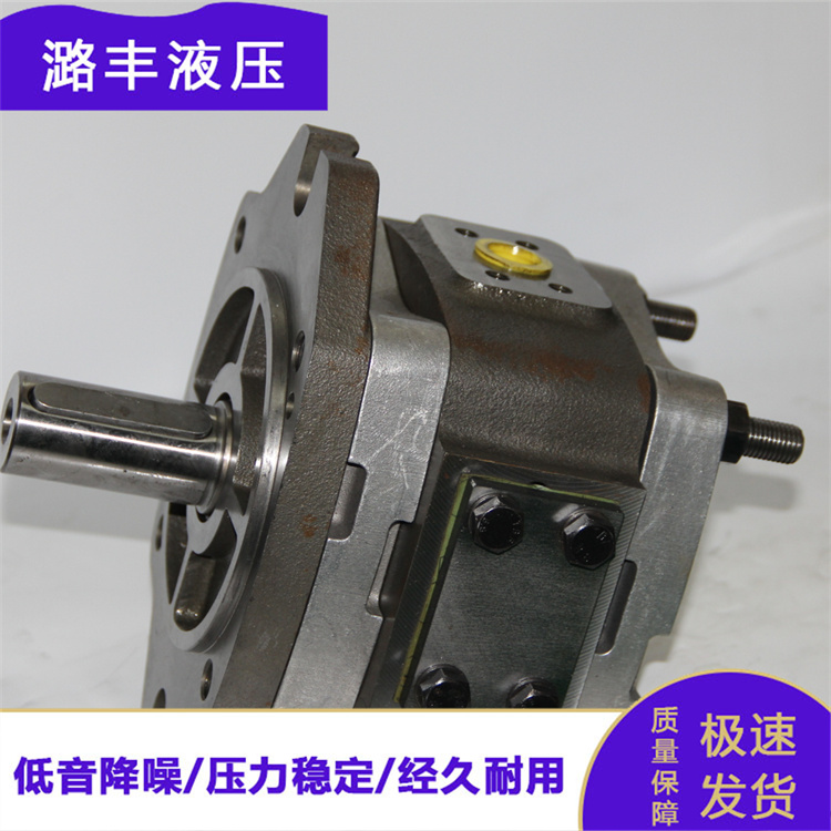 高粘度转子泵 内啮合齿轮泵 树脂胶水输送泵 潞丰