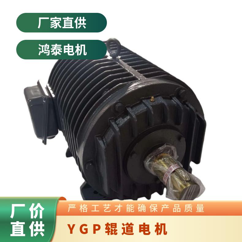 鸿泰YGP变频调速辊道电机YGP180L-8 7.5KW正反转使用可靠精选厂家