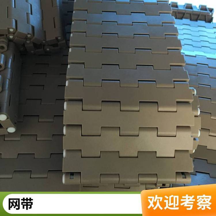 果蔬清洗塑料链板网带 网链输送带 高温传送带 5935网带