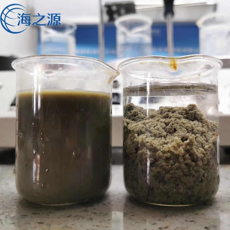 阴离子PAM聚丙烯酰胺直销 海之源化工