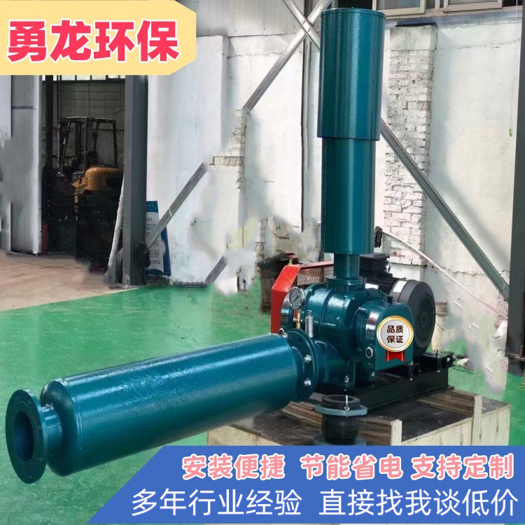 生产罗茨鼓风机 低噪音工业大功率罗茨真空泵负压不锈钢罗茨风机