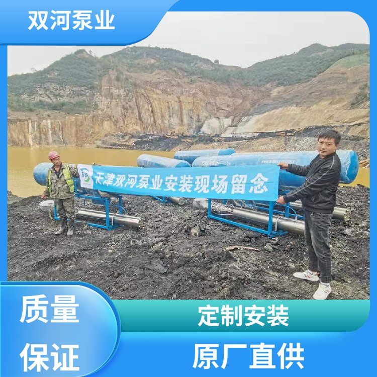 双河泵业 轮船调载用泵 漂浮式轴流泵 不锈钢叶轮 安装便捷