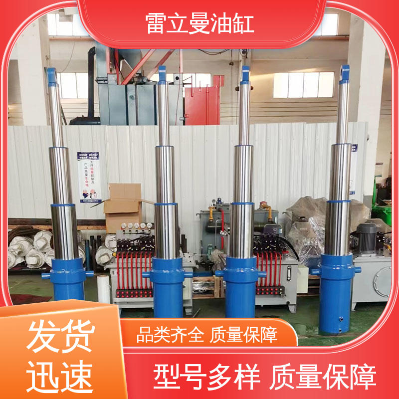 雷立曼 按需定制 双作用多级油缸 加厚镀铬精磨处理 石油化工用
