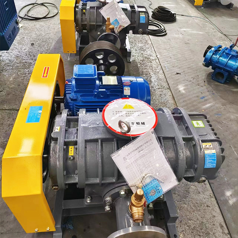 定制龙铁型罗茨风机气力输送鱼塘增氧污水处理增氧龙铁型罗茨风机