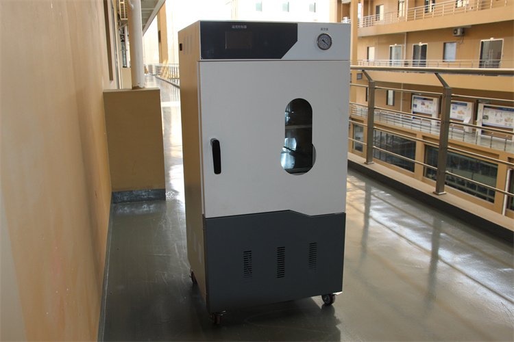 双层叠加式不锈钢真空干燥箱300℃ 热风循环烘箱