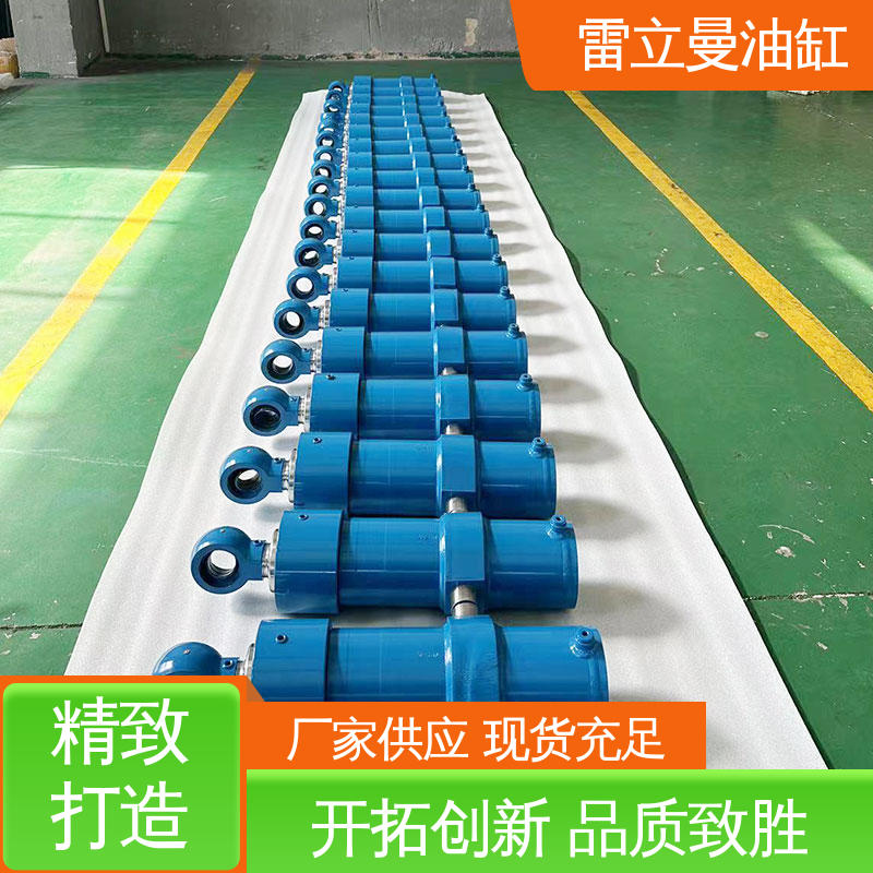 雷立曼 闸门水利 耐腐蚀 经久耐用 非标液压 双作用多节油缸