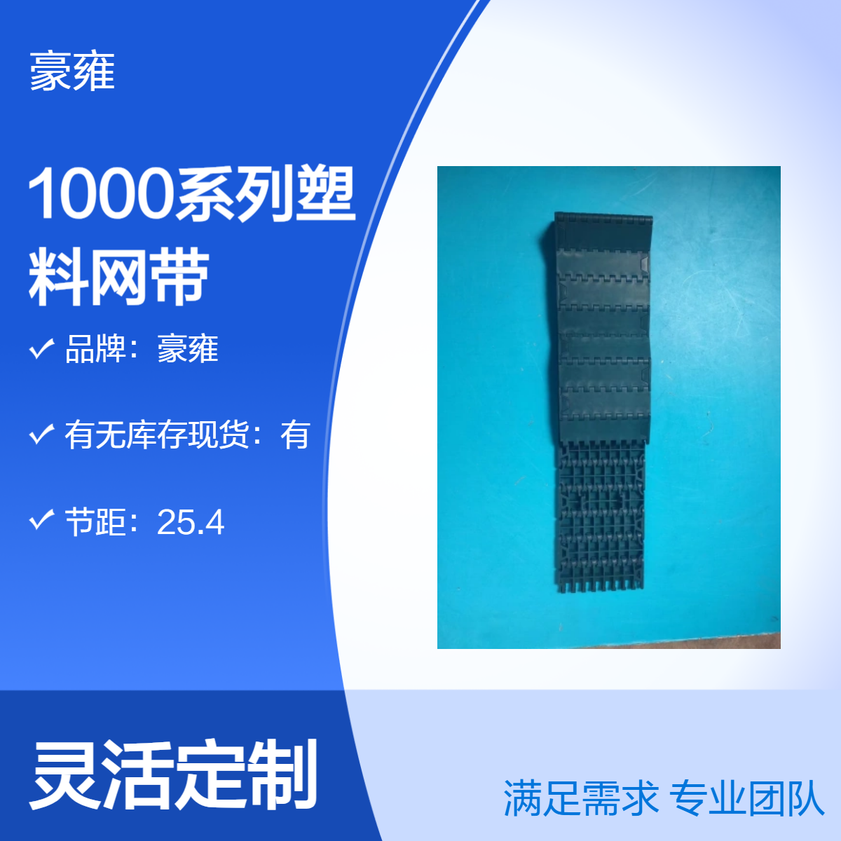 豪雍1000系列塑料网带 强力网带 标准件 适用于多种输送场景