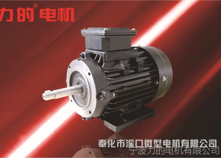 550W高温电机|配套模温机***木川高温导热油泵