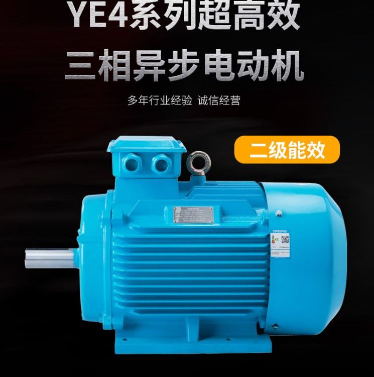 YE4 三相异步电动机 380V电机 2级能效 泰玛电 机厂家
