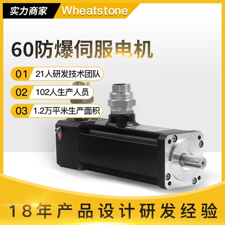 煤矿防爆伺服电机 一对一定制款 惠斯通矿用电机