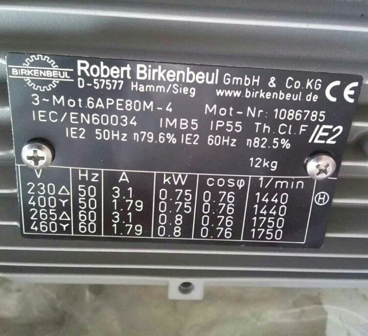 Robert Birkenbeul三相标准电机特种电机8APE132S-2K