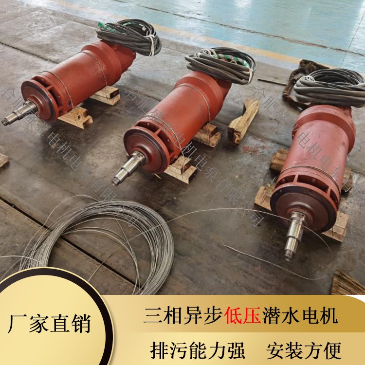 安 徽 异步耐腐蚀低压潜水电机 污水处理 YQGN260系列 使用寿命长