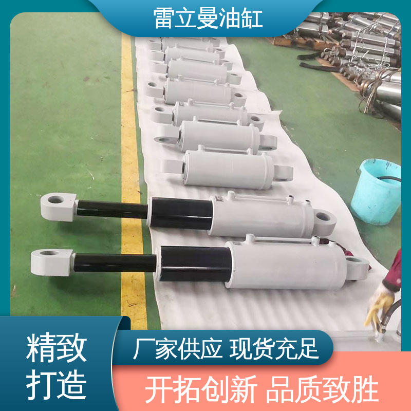 雷立曼 闸门水利 耐腐蚀 经久耐用 非标液压 双作用多节油缸