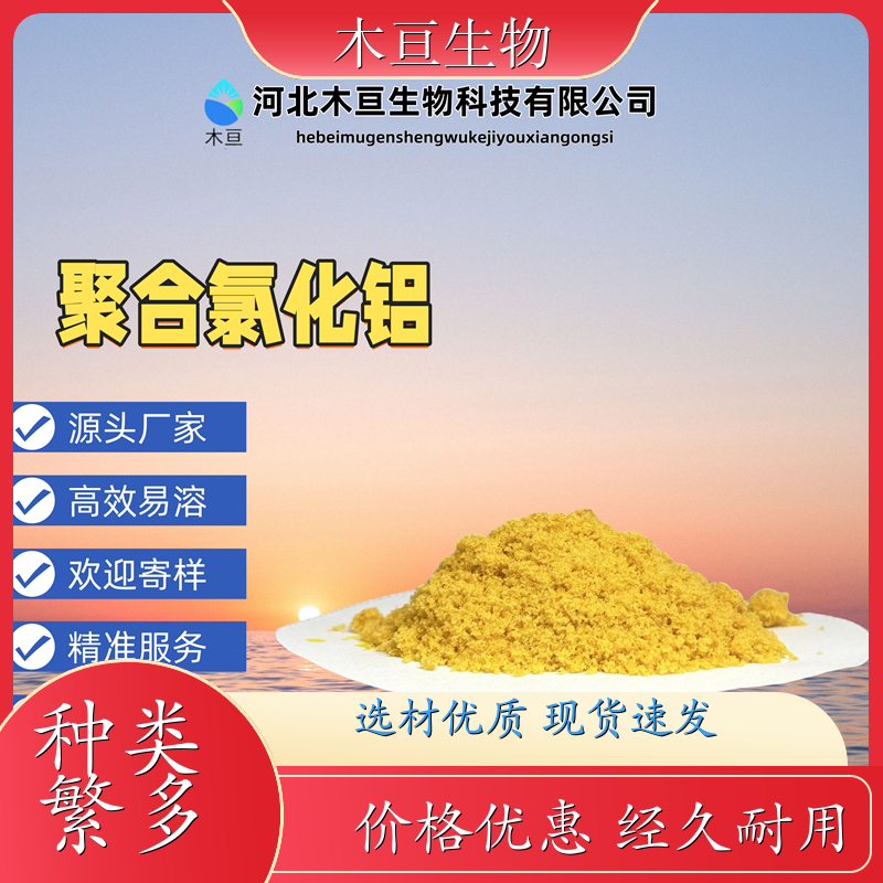 聚合氯化铁 PAC净水剂 工业废水处理净化用 生产厂家