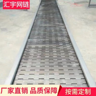 定制食品网带输送机 蔬菜清洗机不锈钢输送带 药品链板运输机