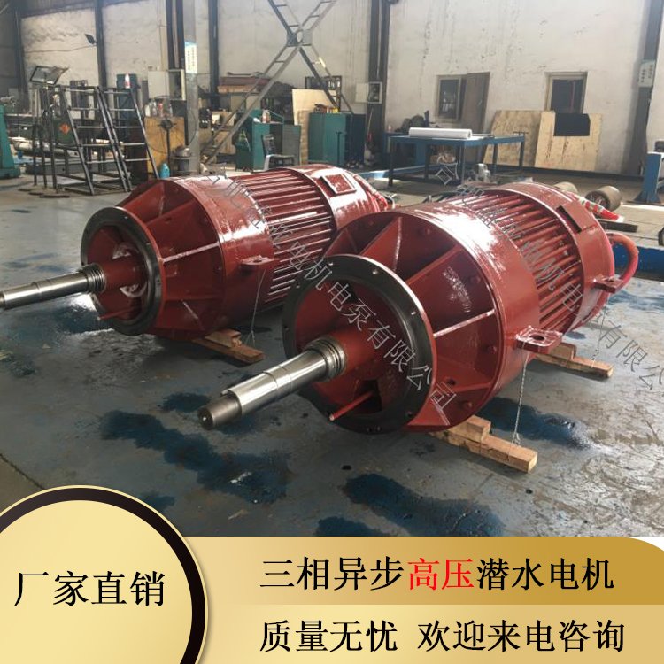三相异步高压潜水电机 农业排灌  YQGN740系列 高速率易操作