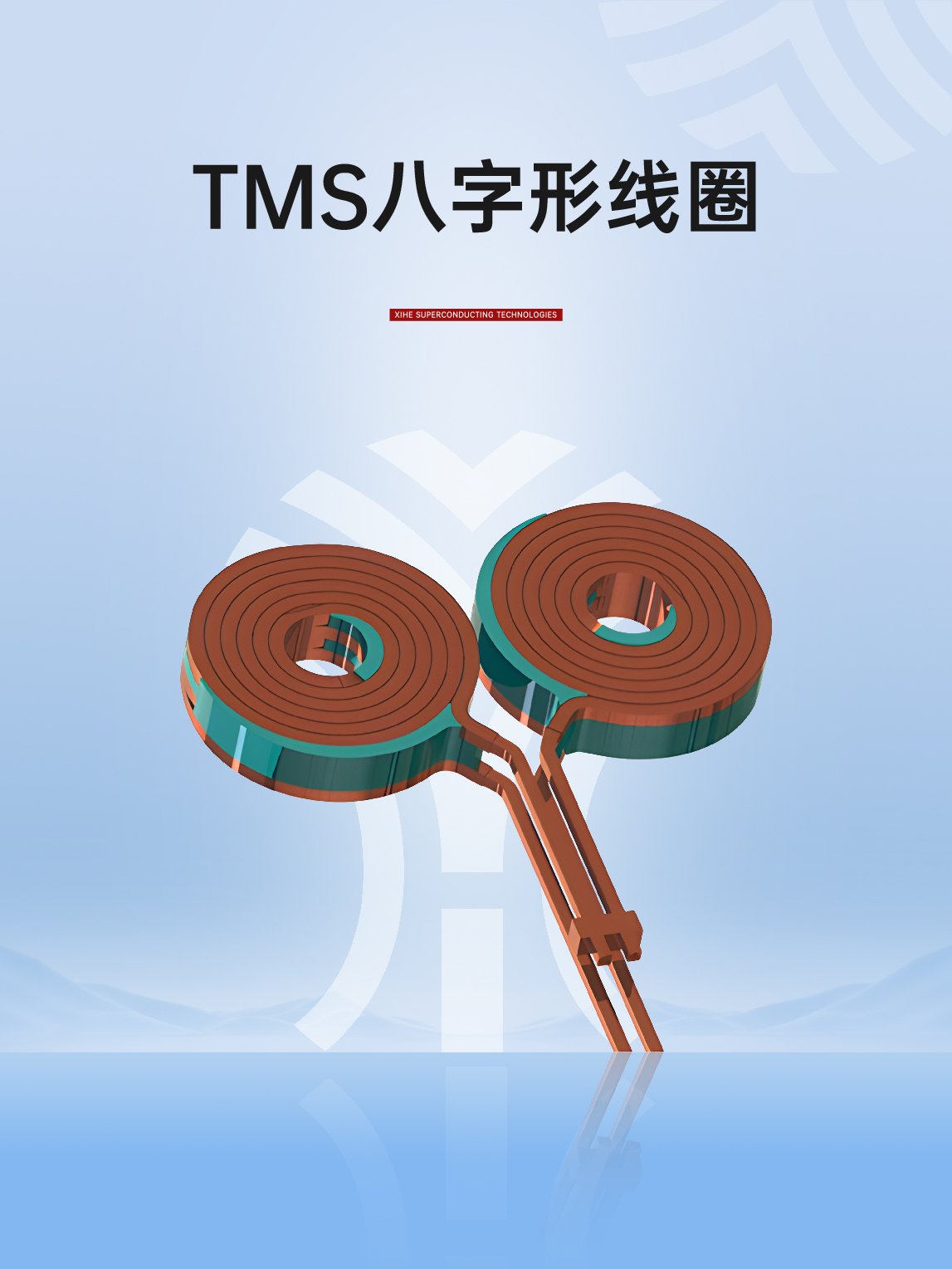 TMS八字形线圈