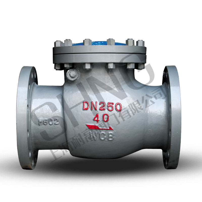 国标旋启式止回阀